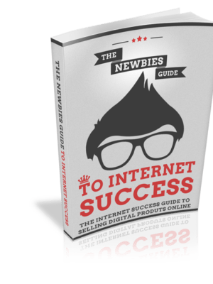 The Newbies Guide to Internet Success